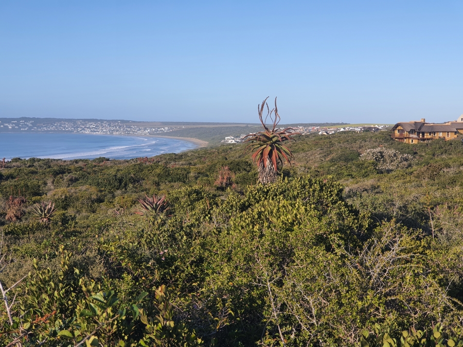 0 Bedroom Property for Sale in Boggomsbaai Western Cape
